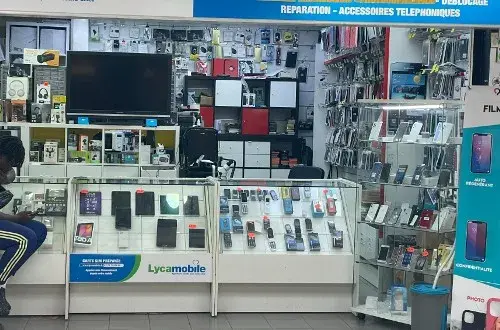 Flanades mobile Reparation mobile a